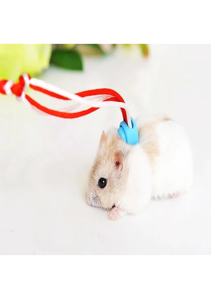 Tavşan Tarzı 1,4 Milyon Evcil Hayvan Sincap Tavşanı Yürümek Için Dışarı Çıkıyor Evcil Gine Domuzu Hamster Sarma Bir Halat Üzerinde Küçük Hamster Üzerindeki Hamster Gine Hamster Güzel (Yurt Dışından) fırsatları