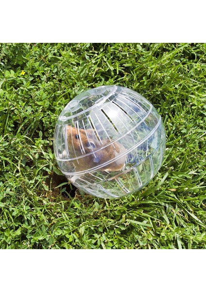 B Tarzı Açık Spor Topu Topraklama Sıçan Küçük Evcil Hayvan Kemirgen Fareler Topu Topları Sıçan 10 cm Egzersiz Hamster Gerbil Oyun Oyuncaklar Koşu Oyuncak Fit M1C0 (Yurt Dışından) modelleri