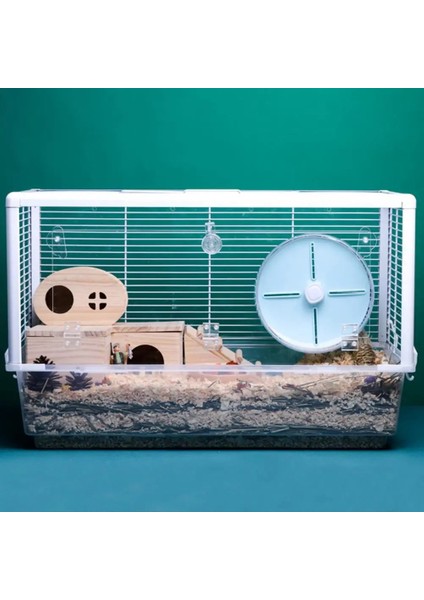 Mor Tarzı M Boyutu Hamster Oyuncak Süper Geniş Pist Sıçan Spor Oyuncak Sessiz Koşu Tekerleği Kobay Fareler Küçük Hayvan Egzersiz Aksesuarları Evcil Hayvan Malzemeleri (Yurt Dışından) fırsatları