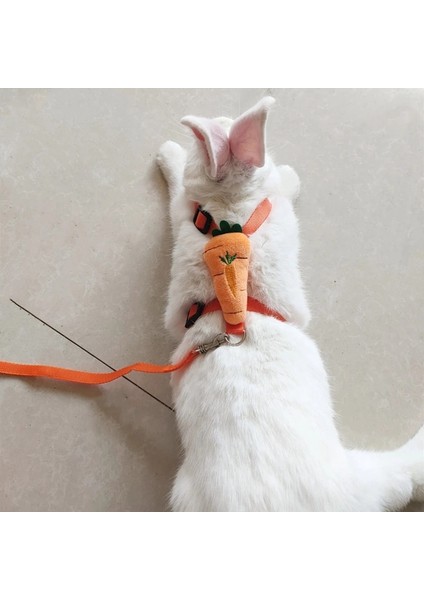 Havuç Tarzı S Beden Tavşan Koşum ve Tasma Seti Küçük Hayvanlar Için Ayarlanabilir Gelincikler Domuzcuklar Kirpi Açık Yürüyüş Sevimli Süslemeler (Yurt Dışından) fırsatları