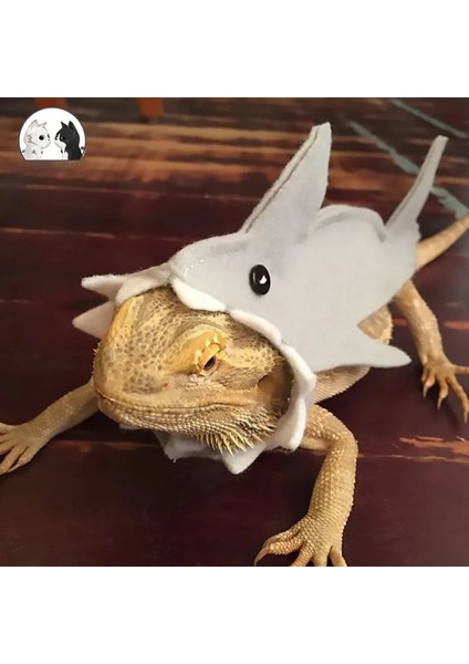 Gri Tarzı M Boyutu Sevimli Köpekbalığı Şekli Kertenkele Bukalemun Köpekbalığı Giysileri Küçük Evcil Hayvan Giysileri Gecko Kostüm Sakallı Ejderha Sürüngenler Giysi Aksesuarları (Yurt Dışından) fiyatları