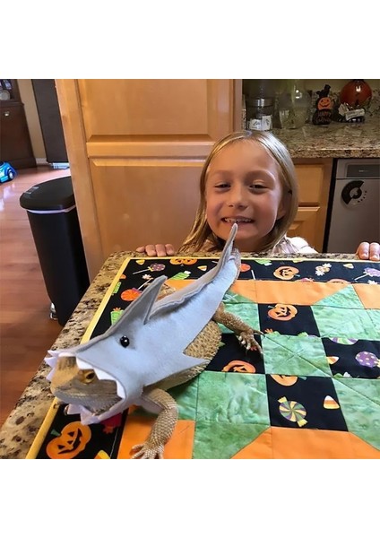 Gri Tarzı M Boyutu Sevimli Köpekbalığı Şekli Kertenkele Bukalemun Köpekbalığı Giysileri Küçük Evcil Hayvan Giysileri Gecko Kostüm Sakallı Ejderha Sürüngenler Giysi Aksesuarları (Yurt Dışından) fırsatları