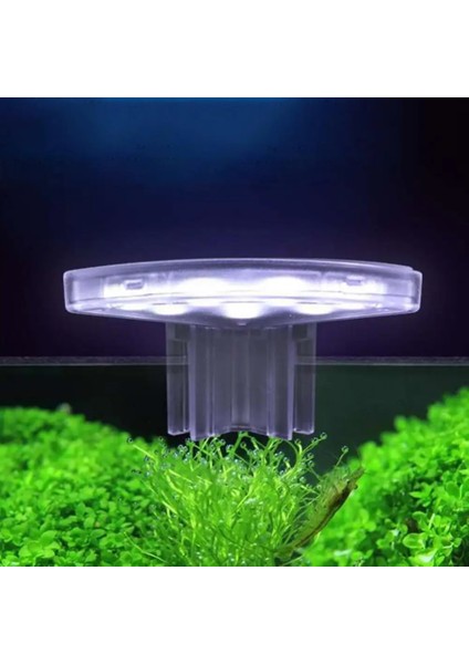 Beyaz Stil 5W Büyüyen Lamba Dekor Akvaryum Işık Balık Tankı Su Su Tesisi Üzerinde LED Klip (Yurt Dışından) fiyatları