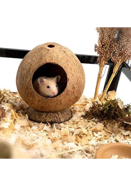 Kahve Tarzı Güvenli Küçük Evcil Hayvanlar Evi Hindistan Cevizi Kabuğu Gine Domuzu Yuva Çizilmeye Dayanıklı Hamster Hideout Kulübe Pet Çiğneme Oyuncak Egzersiz Eğitimi (Yurt Dışından) modelleri
