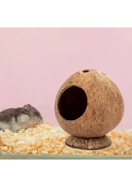 Kahve Tarzı Güvenli Küçük Evcil Hayvanlar Evi Hindistan Cevizi Kabuğu Gine Domuzu Yuva Çizilmeye Dayanıklı Hamster Hideout Kulübe Pet Çiğneme Oyuncak Egzersiz Eğitimi (Yurt Dışından) fırsatları
