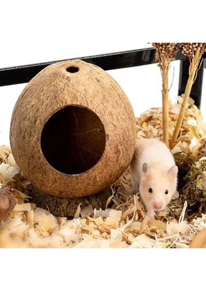 Kahve Tarzı Güvenli Küçük Evcil Hayvanlar Evi Hindistan Cevizi Kabuğu Gine Domuzu Yuva Çizilmeye Dayanıklı Hamster Hideout Kulübe Pet Çiğneme Oyuncak Egzersiz Eğitimi (Yurt Dışından) indirimleri