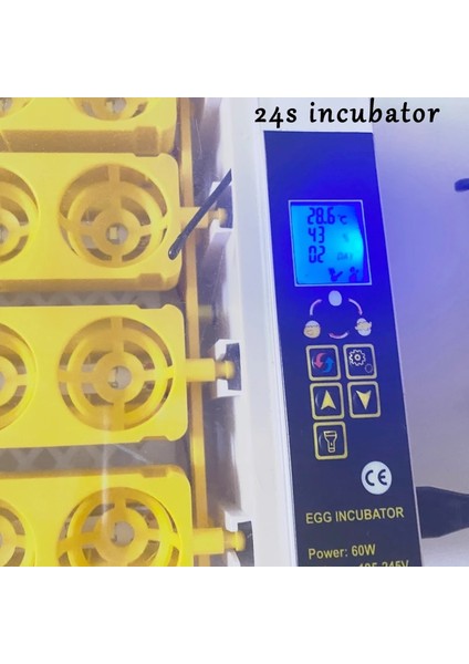 24S Tarzı 110V Hhd 24 Yumurta Kuluçka Makinesi Yedek Parça Dijital Otomatik Sıcaklık Bilgisayar Tavuk Yumurta Kuluçka Kontrol Paneli 110 V 220 V (Yurt Dışından)