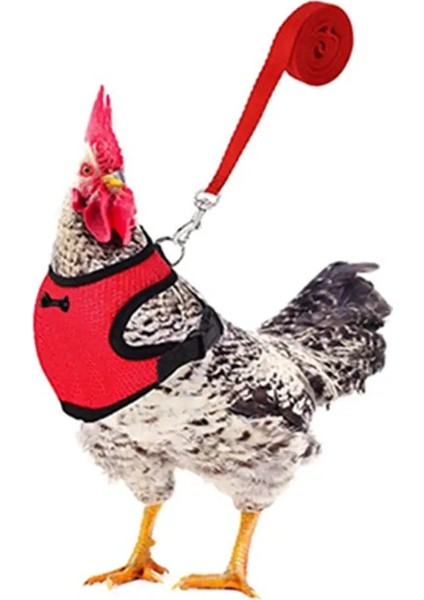 Kırmızı Stil L Boyutu Tavuk Örgü Yumuşak Koşum Yelek Tasma ile Evcil Hayvanlar Ayarlanabilir Halat Eşleşen Kemer Tavuk Yelek Çiftlik Hayvanları Heken Coop Aksesuarları (Yurt Dışından)