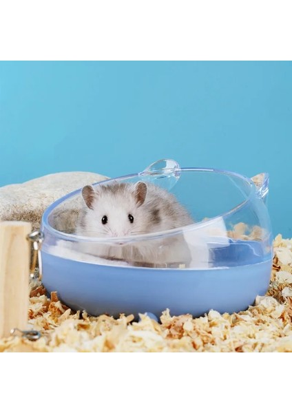 Mavi Stil L Boyutu Hamster Küvet Banyo Şeffaf Hamster Fare Evcil Hayvan Tuvaleti Kafes Kutusu Banyo Kum Odası Ayrılabilir Anti-Sıçrama Büyük Uzay Banyo (Yurt Dışından) fırsatları