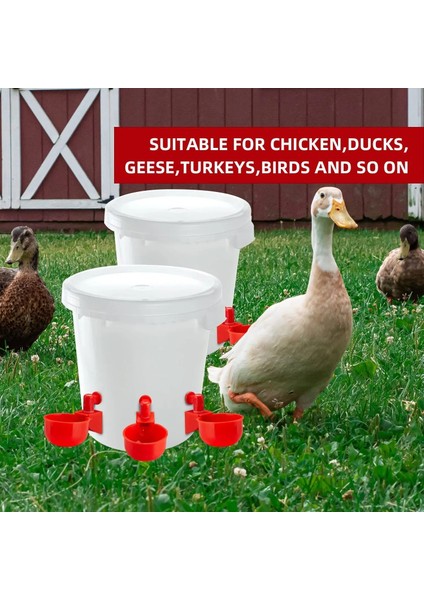 4 Adet Tarzı Tavuk Içme Bardağı Otomatik Tiryakisi Tavuk Besleyici Plastik Kümes Hayvanları Suluk Içme Suyu Besleyici Civcivler Için Ördek Kaz Bıldırcın (Yurt Dışından) fiyatları