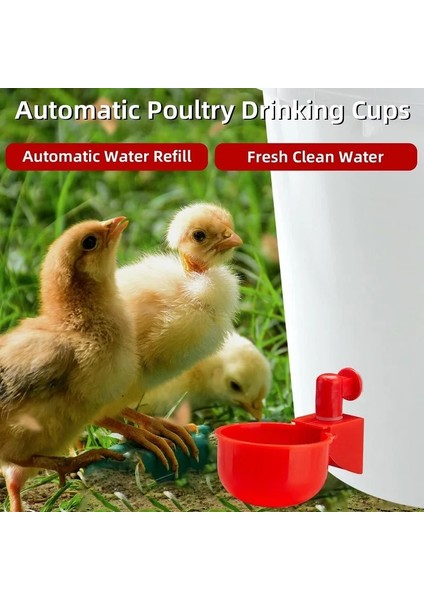 4 Adet Tarzı Tavuk Içme Bardağı Otomatik Tiryakisi Tavuk Besleyici Plastik Kümes Hayvanları Suluk Içme Suyu Besleyici Civcivler Için Ördek Kaz Bıldırcın (Yurt Dışından) modelleri