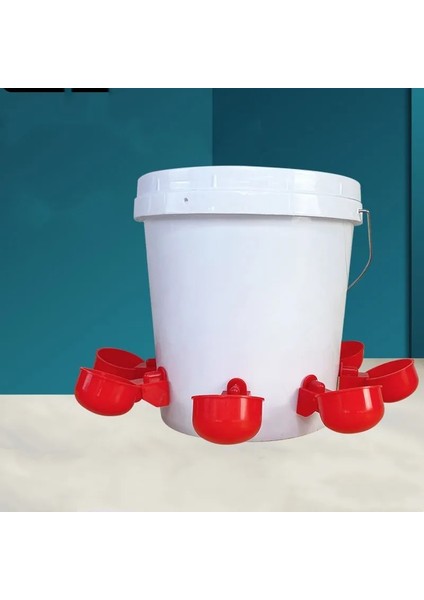 4 Adet Tarzı Tavuk Içme Bardağı Otomatik Tiryakisi Tavuk Besleyici Plastik Kümes Hayvanları Suluk Içme Suyu Besleyici Civcivler Için Ördek Kaz Bıldırcın (Yurt Dışından) indirimleri