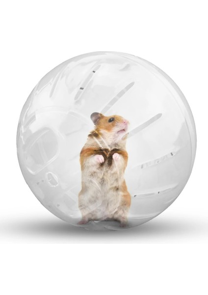 C Desteği Stili 10CM Pet Hamster Egzersiz Plastik Çalışan Tekerlek Mini Taşınabilir Koşu Grounder Oyun Topu Sıçan Fare Egzersiz Tırmanma Oyuncak Oynarken (Yurt Dışından)