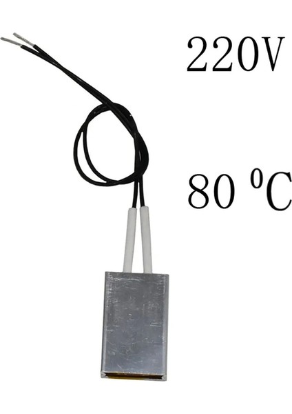 220V80 Derece Tarzı 2 Adet Isıtma Elemanı Saç Kurutma Makinesi Aksesuarları Bukle Maşaları Isıtıcı Derece Santigrat Ptc Isıtıcılar Uyum Kümes Hayvanları Kuluçka Makinesi (Yurt Dışından)