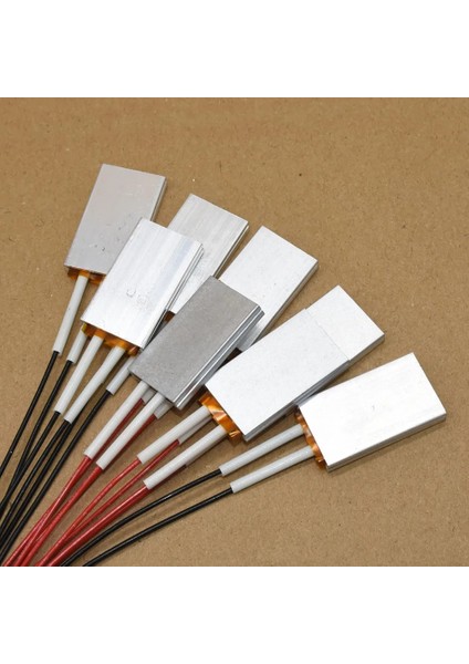220V80 Derece Tarzı 2 Adet Isıtma Elemanı Saç Kurutma Makinesi Aksesuarları Bukle Maşaları Isıtıcı Derece Santigrat Ptc Isıtıcılar Uyum Kümes Hayvanları Kuluçka Makinesi (Yurt Dışından)