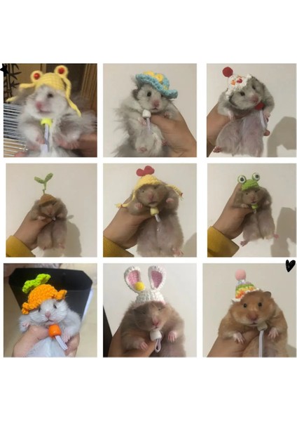 No.1 Stili El Tığ Işi Hamster Şapka Hamster Accessoriemunk Cüce Sıçan Küçük Hayvan Şapka Sevimli Hamster Giysileri Hamster Malzemeleri (Yurt Dışından)