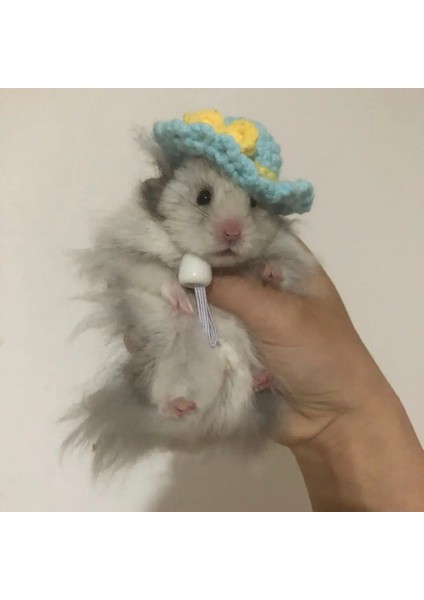 No.1 Stili El Tığ Işi Hamster Şapka Hamster Accessoriemunk Cüce Sıçan Küçük Hayvan Şapka Sevimli Hamster Giysileri Hamster Malzemeleri (Yurt Dışından)