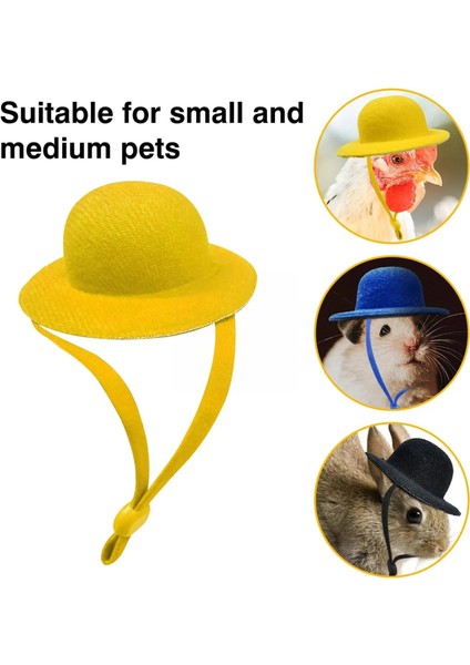 K Tarzı Tavuklar Minik Evcil Hayvanlar Için Tavuk Şapka Komik Tavuk Aksesuarları Tavuk Silindir Şapka Horoz Ördek Papağan Hamster Kümes Hayvanları Stylow C Z6L5 (Yurt Dışından) fırsatları