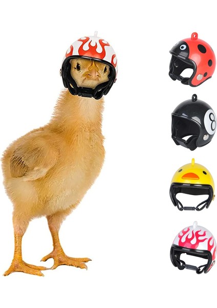 Hy Tarzı Tavuk Kask Küçük Evcil Hayvan Sert Şapka Kuş Bıldırcın Güvercin Şapka Başlık Pet Kuş Kask Karikatür Kask Evcil Hayvan Malzemeleri Aksesuarları (Yurt Dışından) modelleri