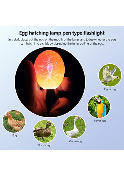 Beyaz Stil Kuluçka Makinesi Eggtester Yumurta Mumlama Lambası LED Süper Soğuk Ekipman Kuluçka Aracı (Yurt Dışından)