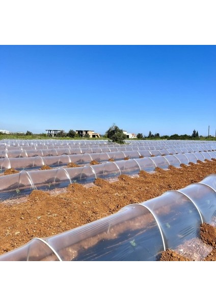 ABK PLASTİK Karpuz Sera Şeffaf Mulch 100 cm 20 Micron