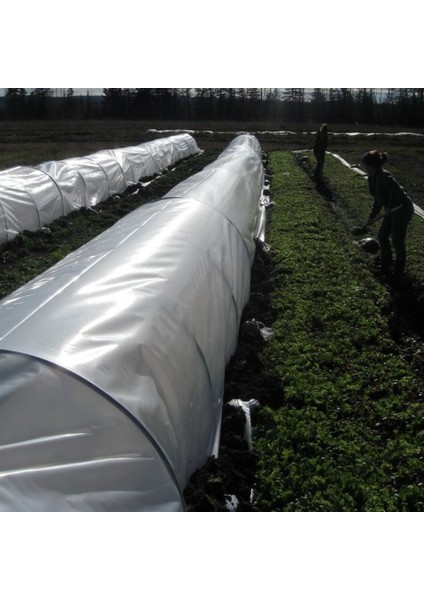 ABK PLASTİK Karpuz Sera Şeffaf Mulch 100 cm 20 Micron