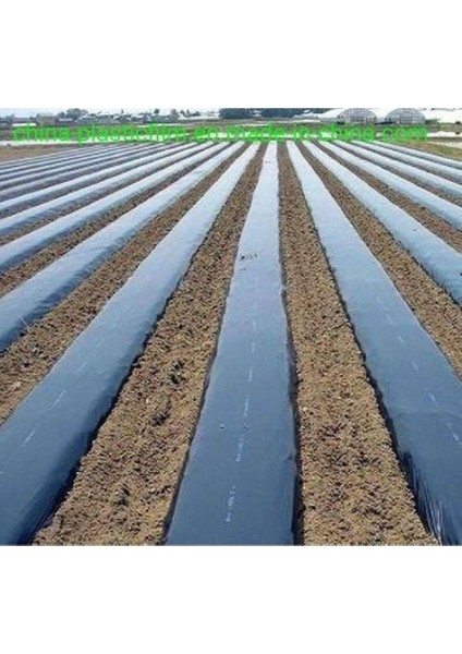 ABK PLASTİK Karpuz Domates Çilek Mulch 100 cm 30 Micron