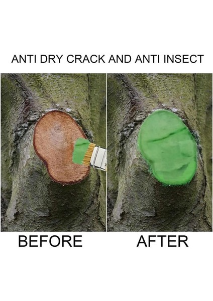 500G Tarzı 500G Ağaç Yara Mühürleyen Şifa Mastik Bitki Aşılama Bonsai Yara Onarım Kesim Ajan Merhem Macun Smear Ağacı Mühürleyen Prue2 (Yurt Dışından) modelleri