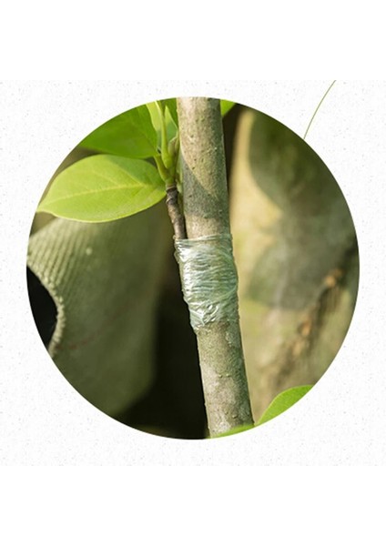 Bahçe Ağacı Bitkileri Fideleri Suppliem x 3cm Gerilebilir Aşılama Aşılama Bandı Filmi Çevre Dostu Pe Kendinden Yapışkanlı (Yurt Dışından)