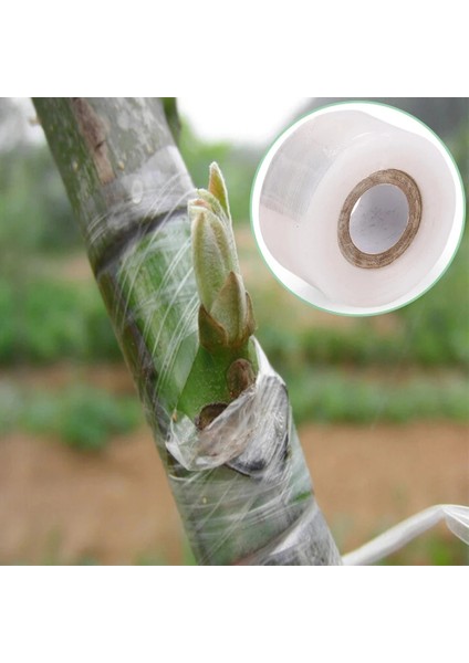 Bahçe Ağacı Bitkileri Fideleri Suppliem x 3cm Gerilebilir Aşılama Aşılama Bandı Filmi Çevre Dostu Pe Kendinden Yapışkanlı (Yurt Dışından) fiyatları