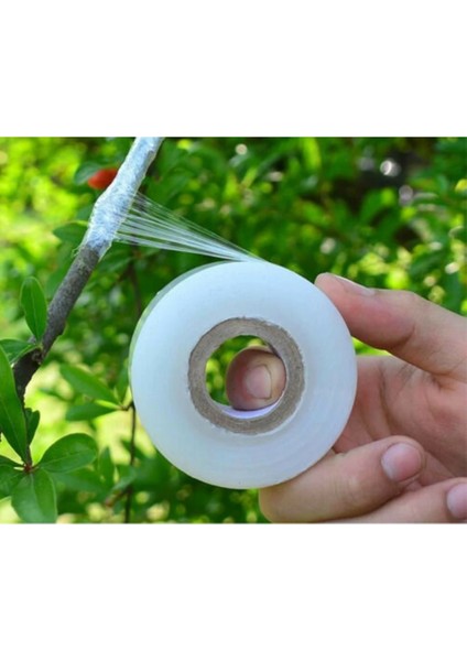 Şeffaf Stil 3 cm Genişlik 3 cm Parafilm Kreş Aşılama Strechable Film Bant Bahçe Ağacı Bitkiler Fide Malzemeleri Çevre Dostu Pe Kendinden Yapışkanlı (Yurt Dışından)