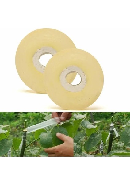 Luoditong Shop Sarı Stil 2 cm 1 Rulo Aşılama Bandı Bahçe Aletleri Meyve Ağacı Budama Makası Engraft Şube Bahçe Bağlama Kemeri Pvc Kravat Bandı (Yurt Dışından)