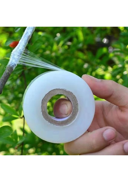 Bej Tarzı Genişlik 3 cm Parafilm Kreş Aşılama Strechable Film Bant Bahçe Ağacı Bitkiler Fide Malzemeleri Çevre Dostu Pe Kendinden Yapışkanlı (Yurt Dışından)