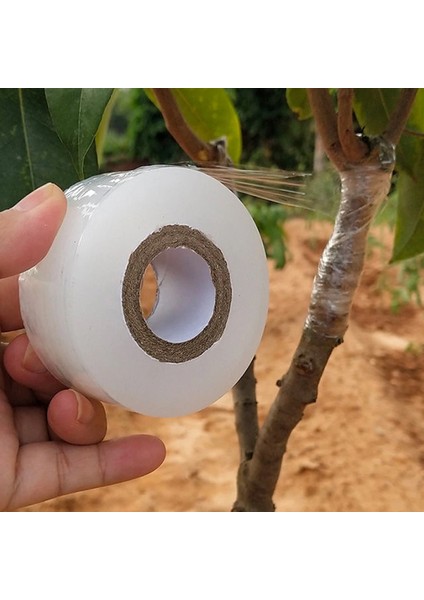 Bej Tarzı Genişlik 3 cm Parafilm Kreş Aşılama Strechable Film Bant Bahçe Ağacı Bitkiler Fide Malzemeleri Çevre Dostu Pe Kendinden Yapışkanlı (Yurt Dışından) fiyatları