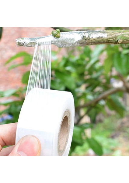 Bej Tarzı Genişlik 3 cm Parafilm Kreş Aşılama Strechable Film Bant Bahçe Ağacı Bitkiler Fide Malzemeleri Çevre Dostu Pe Kendinden Yapışkanlı (Yurt Dışından) modelleri
