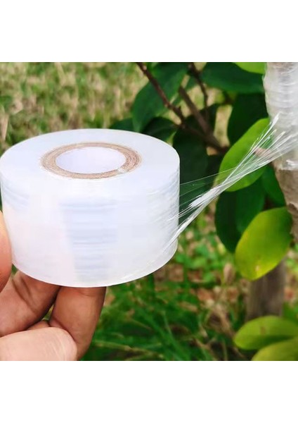 Bej Tarzı Genişlik 3 cm Parafilm Kreş Aşılama Strechable Film Bant Bahçe Ağacı Bitkiler Fide Malzemeleri Çevre Dostu Pe Kendinden Yapışkanlı (Yurt Dışından) fırsatları