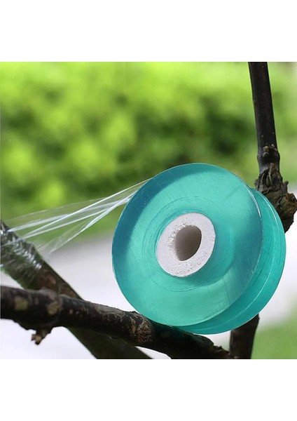 Bir Stil 2 cm Genişliğinde Pvc Meyve Ağacı Aşılama Bandı Sarma Filmi Kendinden Yapışkanlı Film Sarma Gerilebilir Bahçe Bandı Aşı Ağaçları Için (Yurt Dışından) fırsatları