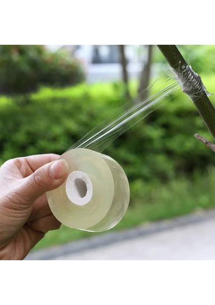 Bir Stil 2 cm Genişliğinde Pvc Meyve Ağacı Aşılama Bandı Sarma Filmi Kendinden Yapışkanlı Film Sarma Gerilebilir Bahçe Bandı Aşı Ağaçları Için (Yurt Dışından) indirimleri