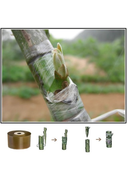 Sarı Stil 9cm Pe Aşılama Bandı Genişliği Sarı Aşılama Bandı Gerilebilir Bitkiler Onarım Filmleri Kendinden Yapışkanlı Çiçek Meyve Ağacı Poli Tomurcuklanma (Yurt Dışından) modelleri