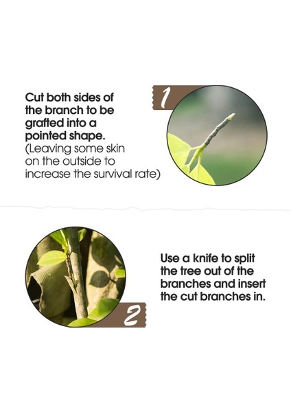 Sarı Stil 9cm Pe Aşılama Bandı Genişliği Sarı Aşılama Bandı Gerilebilir Bitkiler Onarım Filmleri Kendinden Yapışkanlı Çiçek Meyve Ağacı Poli Tomurcuklanma (Yurt Dışından) fırsatları