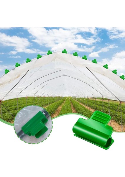 Bir Stil Lant Aşılama Klip Plastik Bahçe Aracı Salatalık Patlıcan Karpuz, Yuvarlak Ağız Düz Ağız Anti-Sonbahar Kelepçe (Yurt Dışından)