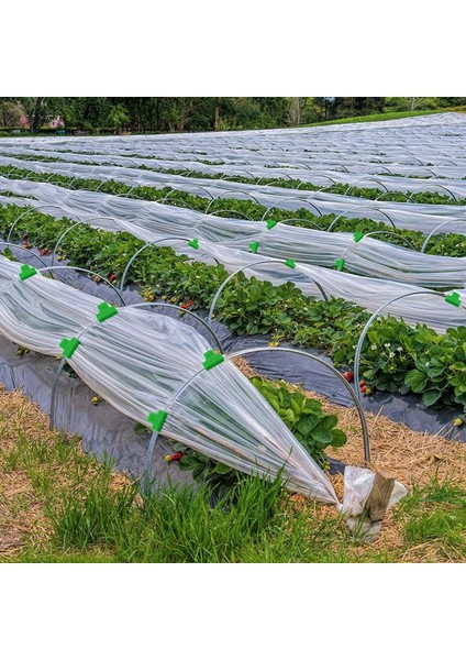 Bir Stil Lant Aşılama Klip Plastik Bahçe Aracı Salatalık Patlıcan Karpuz, Yuvarlak Ağız Düz Ağız Anti-Sonbahar Kelepçe (Yurt Dışından)