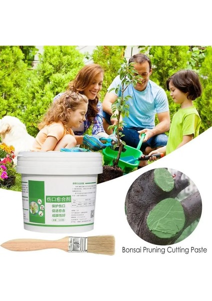 500G Tarzı Ağaç Yara Bonsai Kesim Macunu Smear Ajan Budama Bileşiği Mühürleyen Fırça ile Su Geçirmez Mastik Tutkal Yapışma Promoter (Yurt Dışından) fiyatları