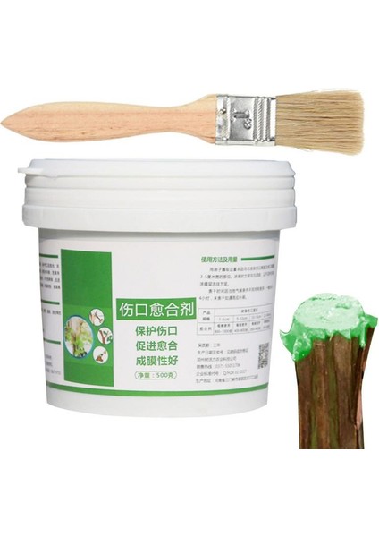 500G Tarzı Ağaç Yara Bonsai Kesim Macunu Smear Ajan Budama Bileşiği Mühürleyen Fırça ile Su Geçirmez Mastik Tutkal Yapışma Promoter (Yurt Dışından) modelleri