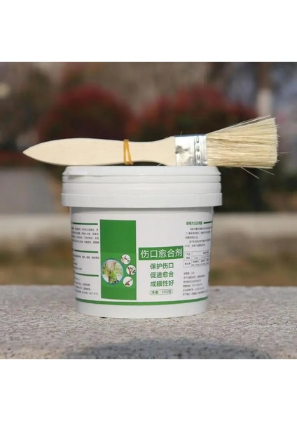 500G Tarzı Ağaç Yara Bonsai Kesim Macunu Smear Ajan Budama Bileşiği Mühürleyen Fırça ile Su Geçirmez Mastik Tutkal Yapışma Promoter (Yurt Dışından) fırsatları