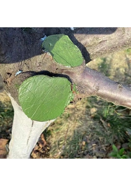 500G Tarzı Ağaç Yara Bonsai Kesim Macunu Smear Ajan Budama Bileşiği Mühürleyen Fırça ile Su Geçirmez Mastik Tutkal Yapışma Promoter (Yurt Dışından) indirimleri