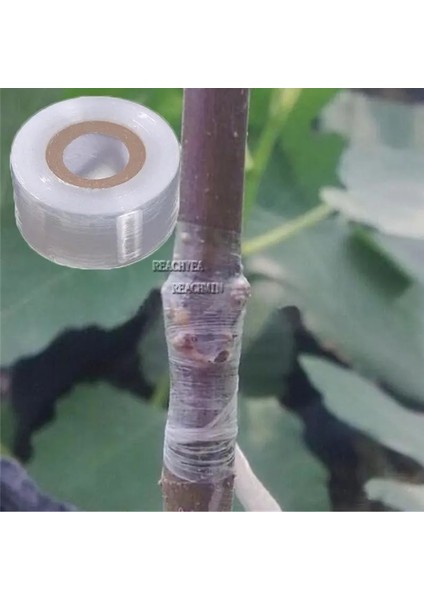 25MM Tarzı Pe Aşılama Bant Filmi Kendinden Yapışkanlı Taşınabilir Bahçe Ağacı Bitkileri Fide Aşılama Malzemeleri Gerilebilir Çevre DOSTU20MM (Yurt Dışından)