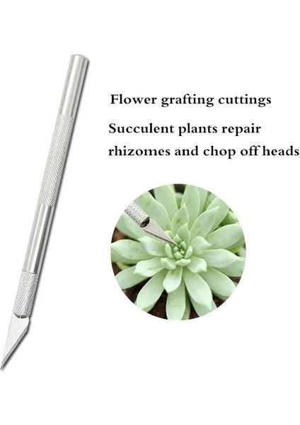 No.4 Stili Bahçe Succulents Saksı Dikim Aşılama Çakı Tamir Köksap Kesme Tomurcuk Aşılama Meyve Aşılama Aracı (Yurt Dışından) indirimleri
