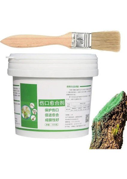 500G Tarzı Ağaç Yara Bonsai Kesim Macunu Smear Ajan Budama Bileşiği Mühürleyen Fırça ile Su Geçirmez Mastik Tutkal Yapışma Promoter (Yurt Dışından) fiyatları