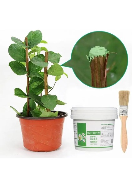 500G Tarzı Ağaç Yara Bonsai Kesim Macunu Smear Ajan Budama Bileşiği Mühürleyen Fırça ile Su Geçirmez Mastik Tutkal Yapışma Promoter (Yurt Dışından) modelleri